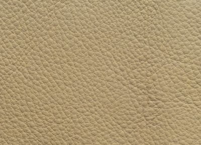 HPspecial needs helmet leather - Beige